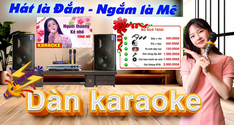 dan karaoke sale